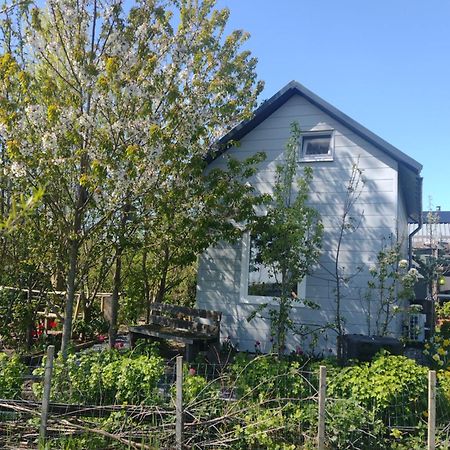 Tuinhuisje In Het Groen Almere Luaran gambar