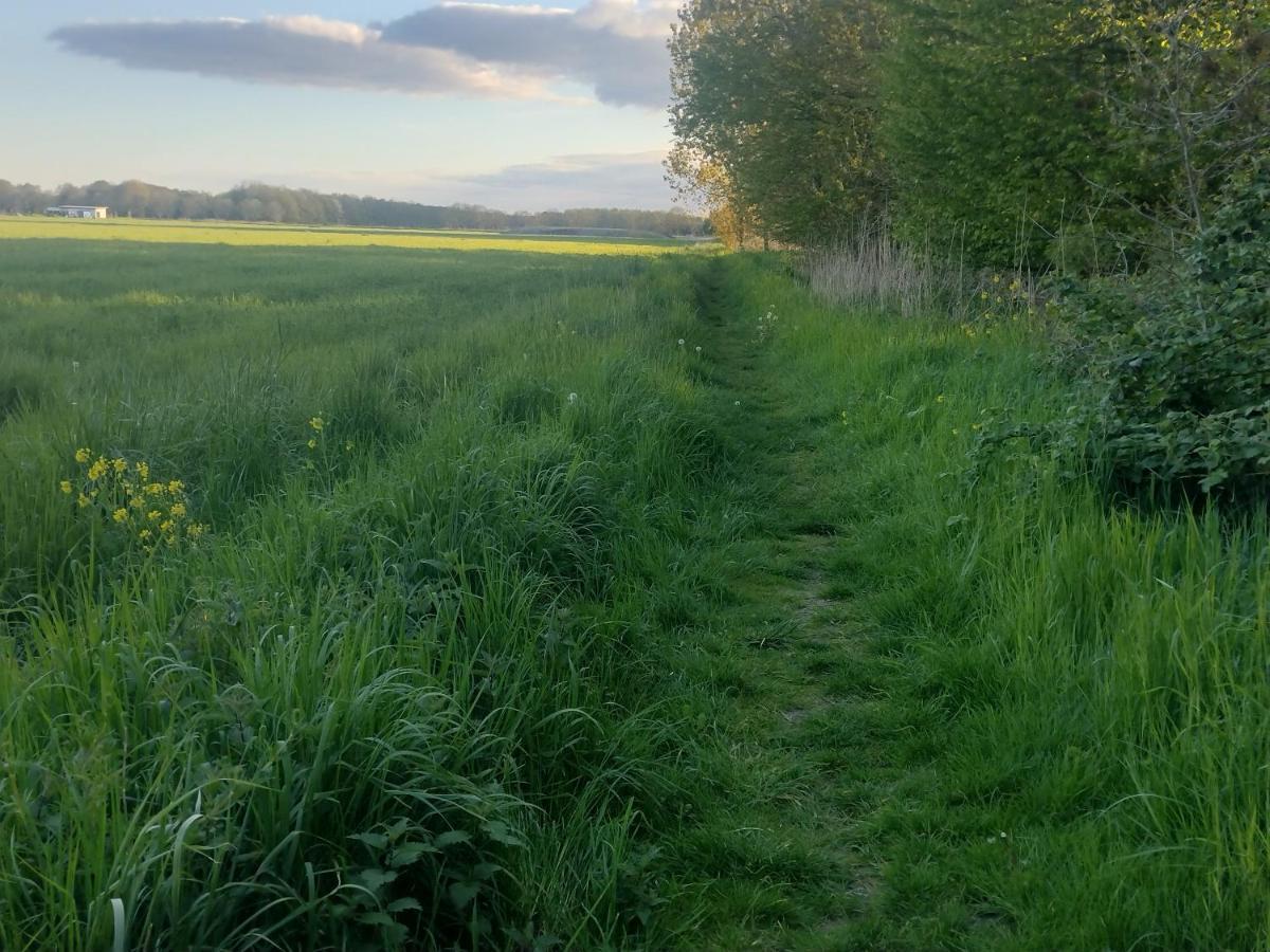 Tuinhuisje In Het Groen Almere Luaran gambar