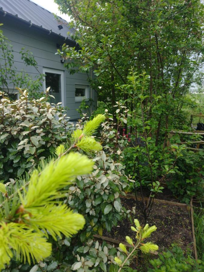 Tuinhuisje In Het Groen Almere Luaran gambar
