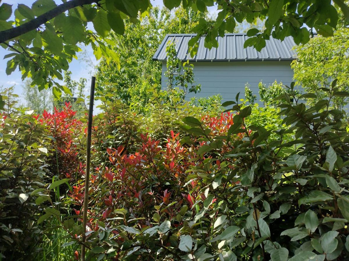 Tuinhuisje In Het Groen Almere Luaran gambar