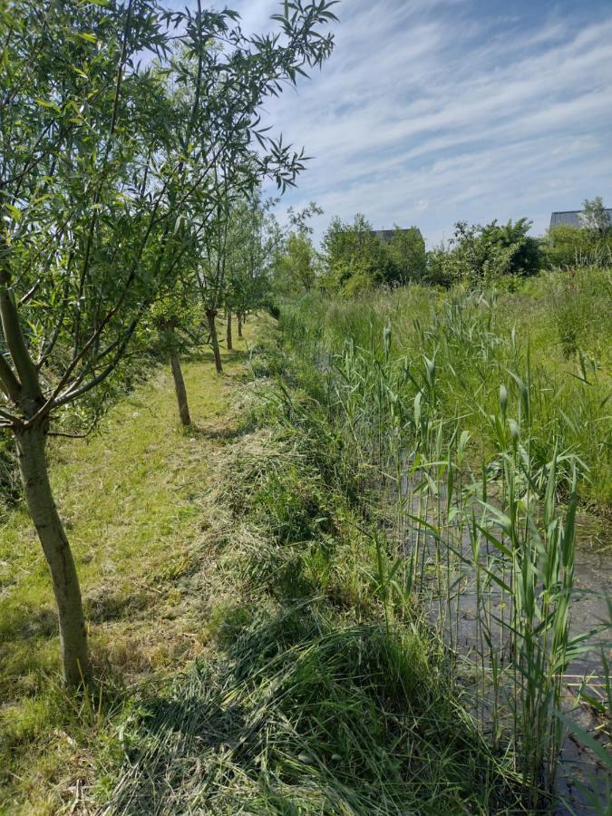 Tuinhuisje In Het Groen Almere Luaran gambar